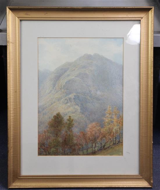 William Gershom Collingwood (1854-1932) Yewdale Crag 14 x 10.25in.